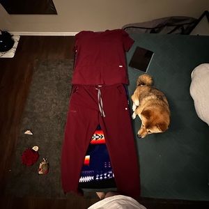 Burgundy FIGS Scrub Set